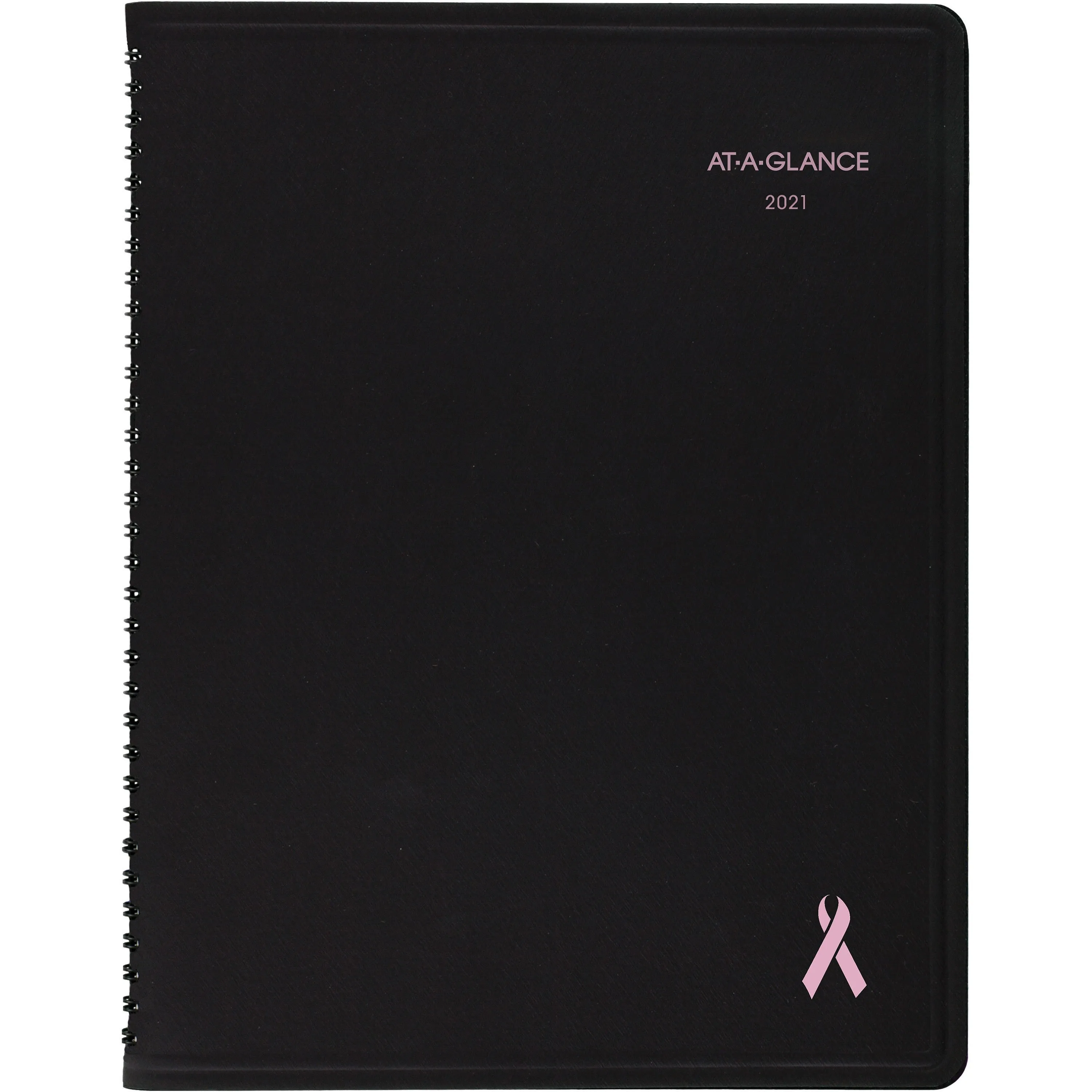 At-A-Glance Quicknotes Special Edition Monthly Planner