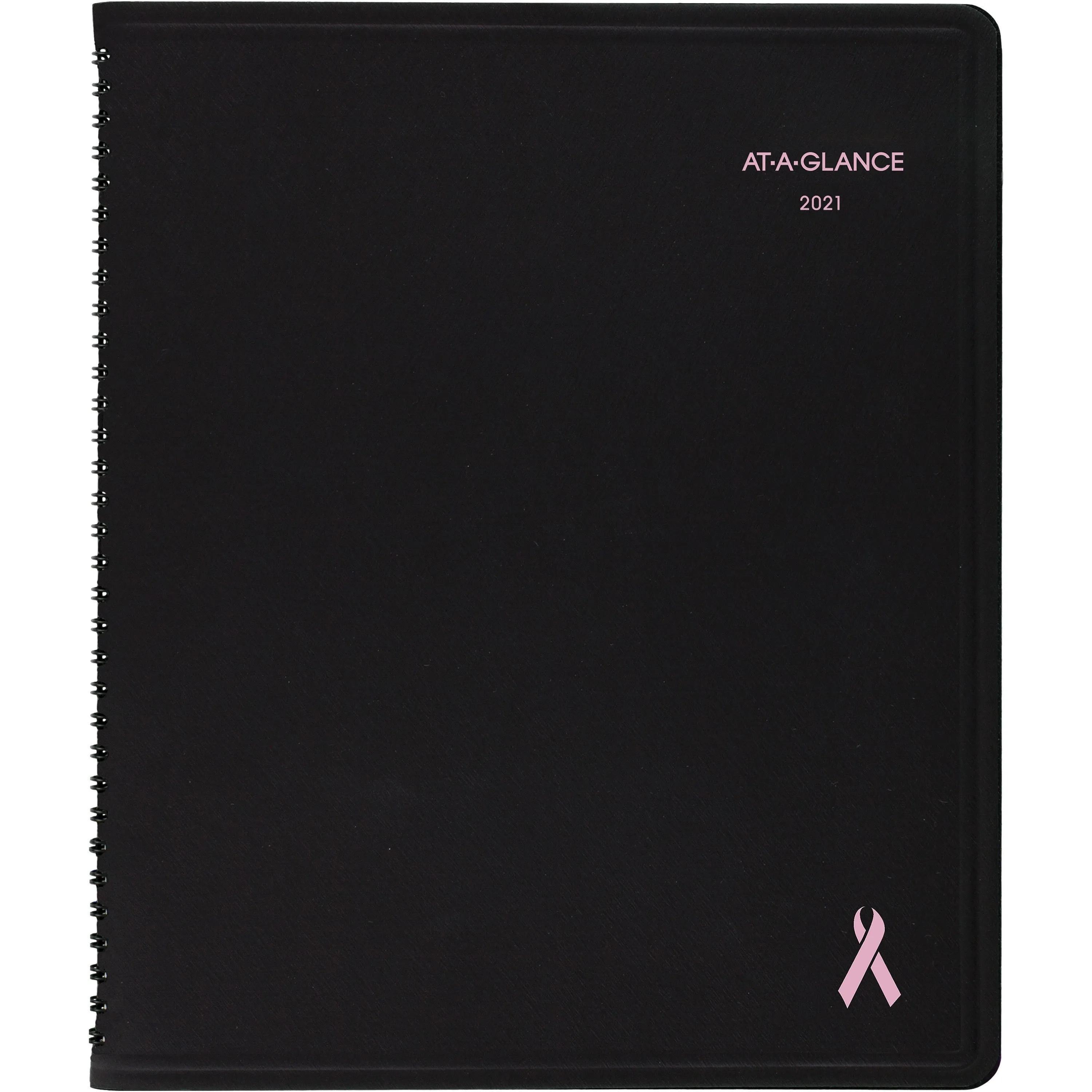 At-A-Glance QuickNotes Special Edition Weekly/Monthly Appointment Book