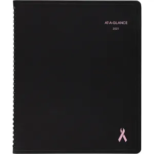 At-A-Glance QuickNotes Special Edition Weekly/Monthly Appointment Book