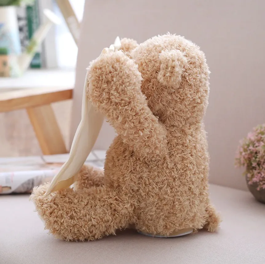 Baby Teddy - Peek a Boo Bear