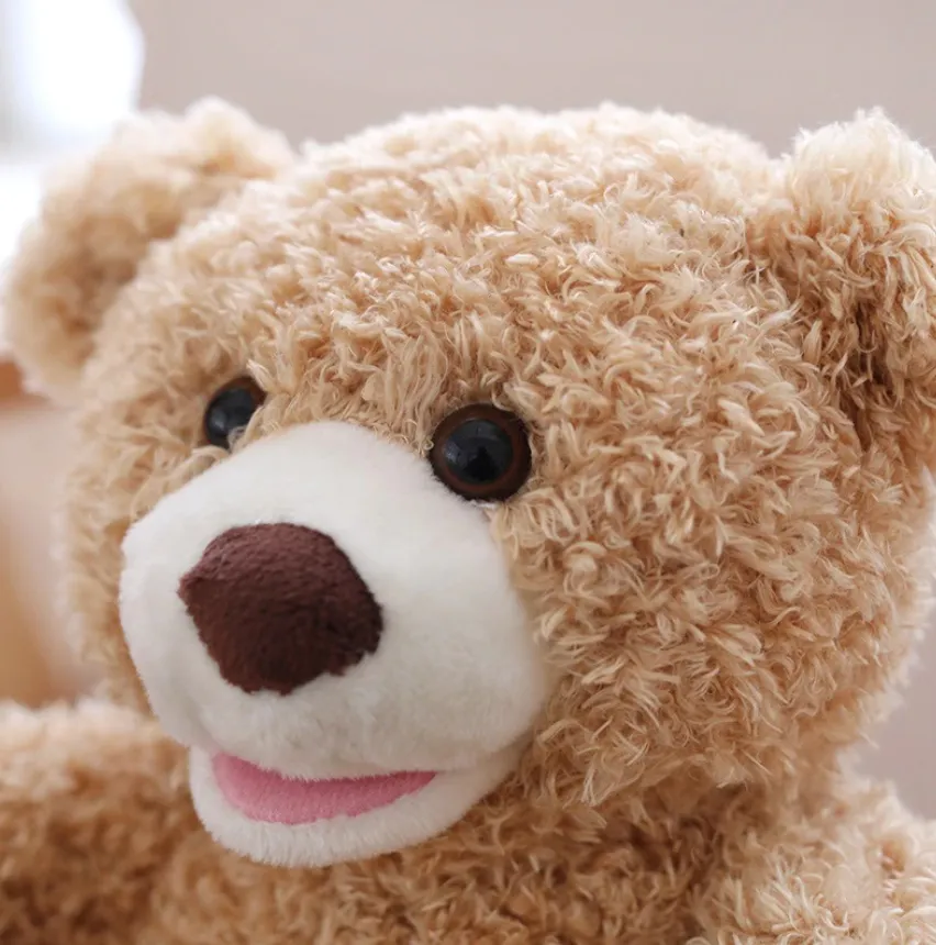 Baby Teddy - Peek a Boo Bear