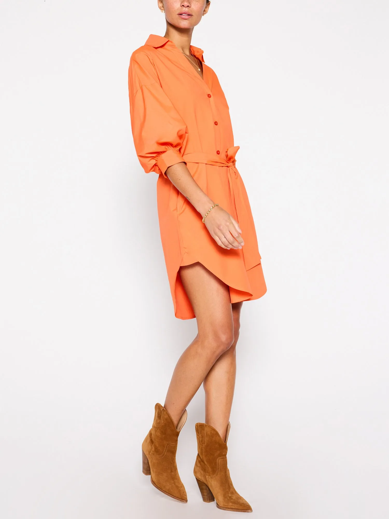 The Kate Belted Dress