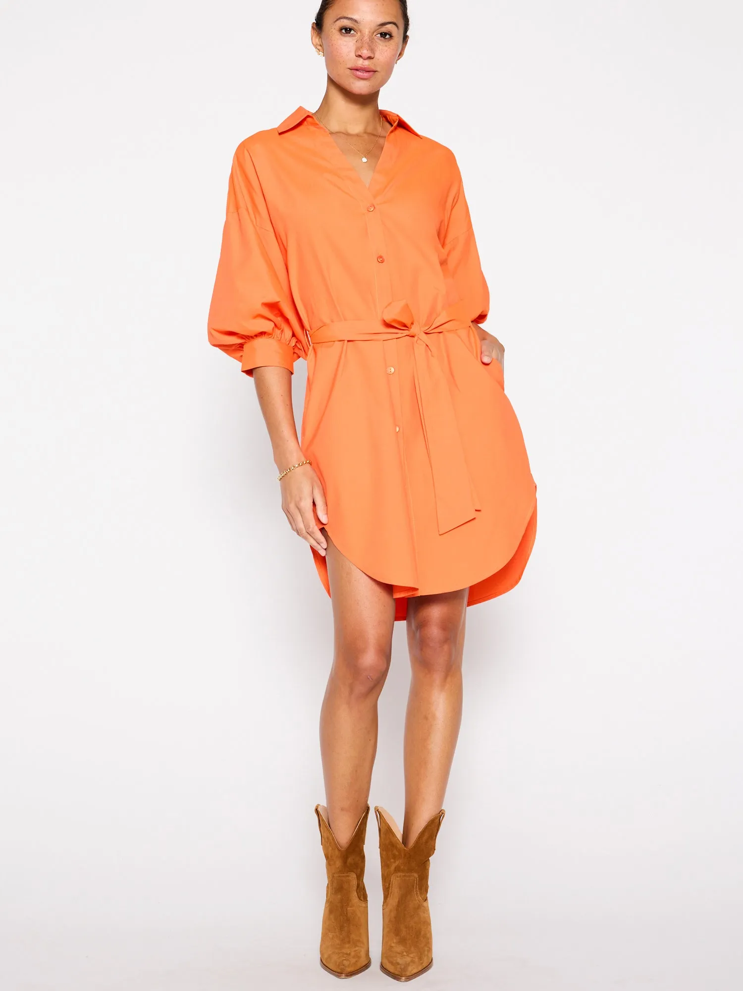 The Kate Belted Dress