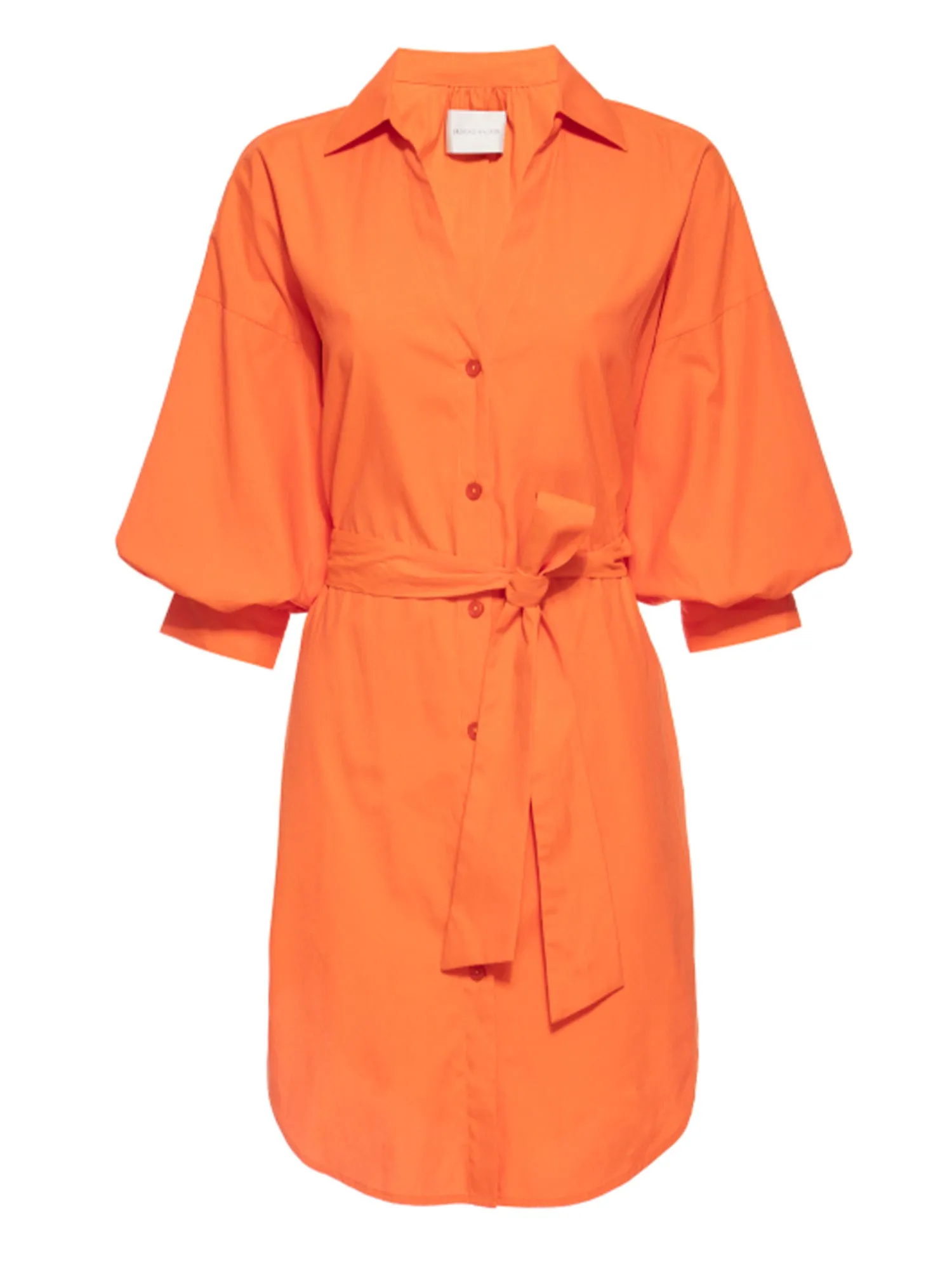 The Kate Belted Dress